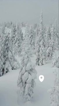 ������ ����, ������� ������!