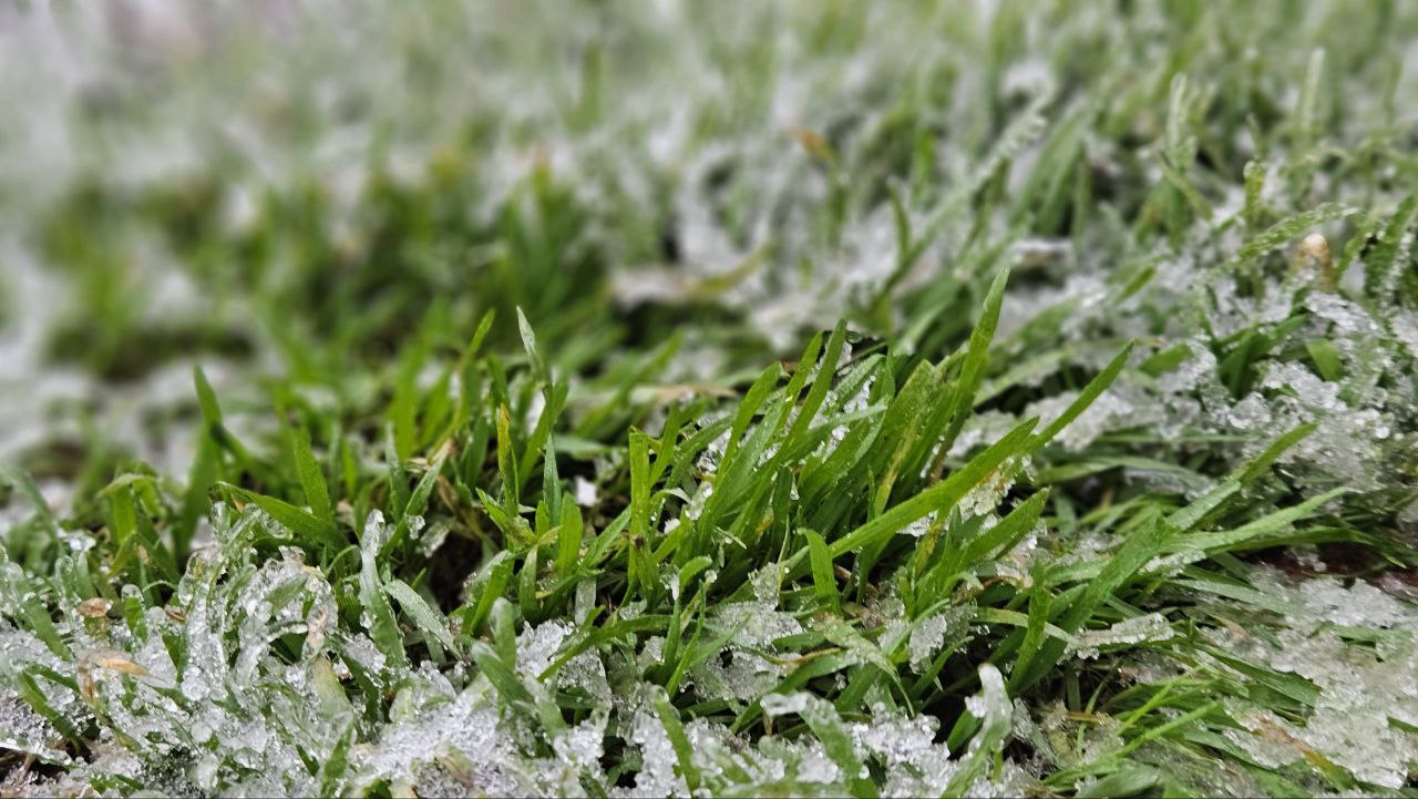 Доброе утро, Алчевск!. Начнём его с цитаты российского писателя-фантаста Дмитрия Емца: "До чего же странное существо человек