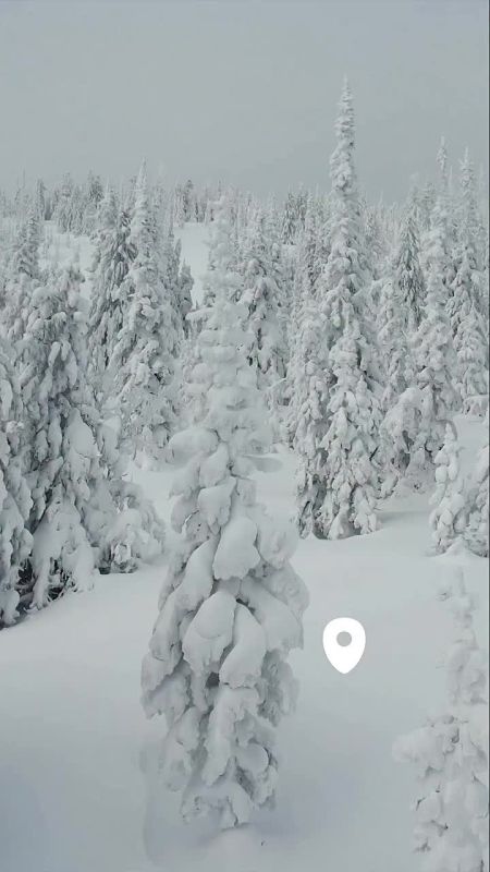 ������ ����, ������� ������!