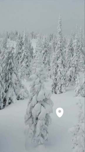 ������ ����, ������� ������!