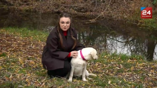 ���������-��������� � �������� ��������� � ��������