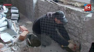 � ���������� ������������ �������������� ������ �����