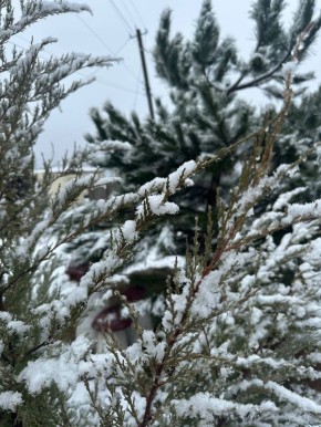 � ������ �����, ������ ����������� �������������� ������!