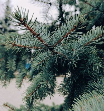 С добрым утром, Кировск!. Желаем всем хорошего дня и позитивного настроения! Мы в МАХ @agklnr #Кировск