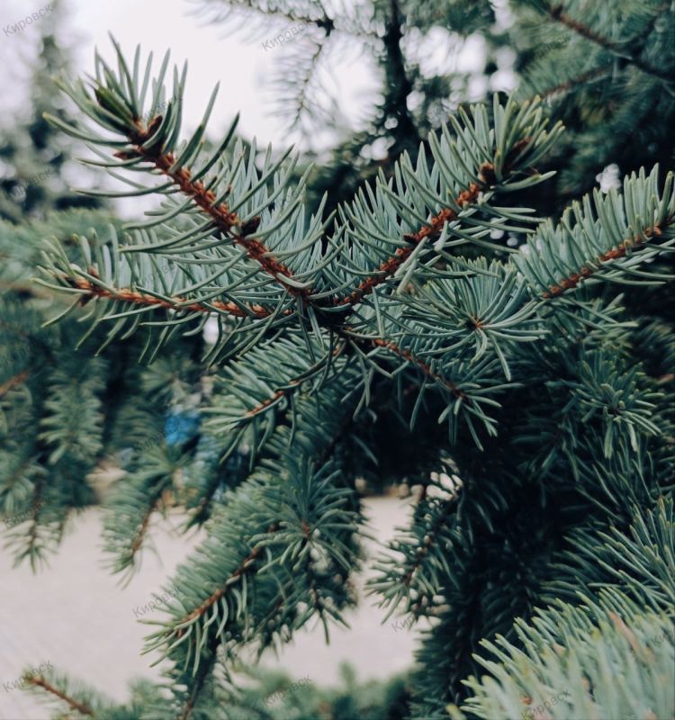 � ������ �����, �������!. ������ ���� �������� ��� � ����������� ����������! �� � ��� @agklnr #�������