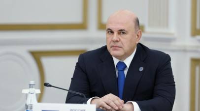 Премьер-министр РФ Михаил Мишустин принял участие во всероссийской новогодней акции «Елка желаний»