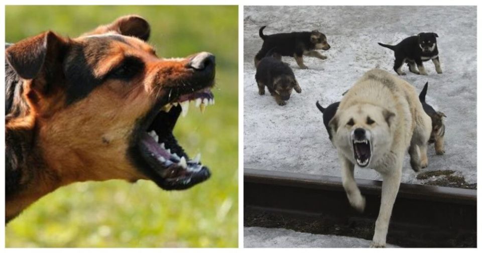 � �������������� �������� �������� ���� ��� ��������� �������� � ������������ ������ � �� ���������� �����������