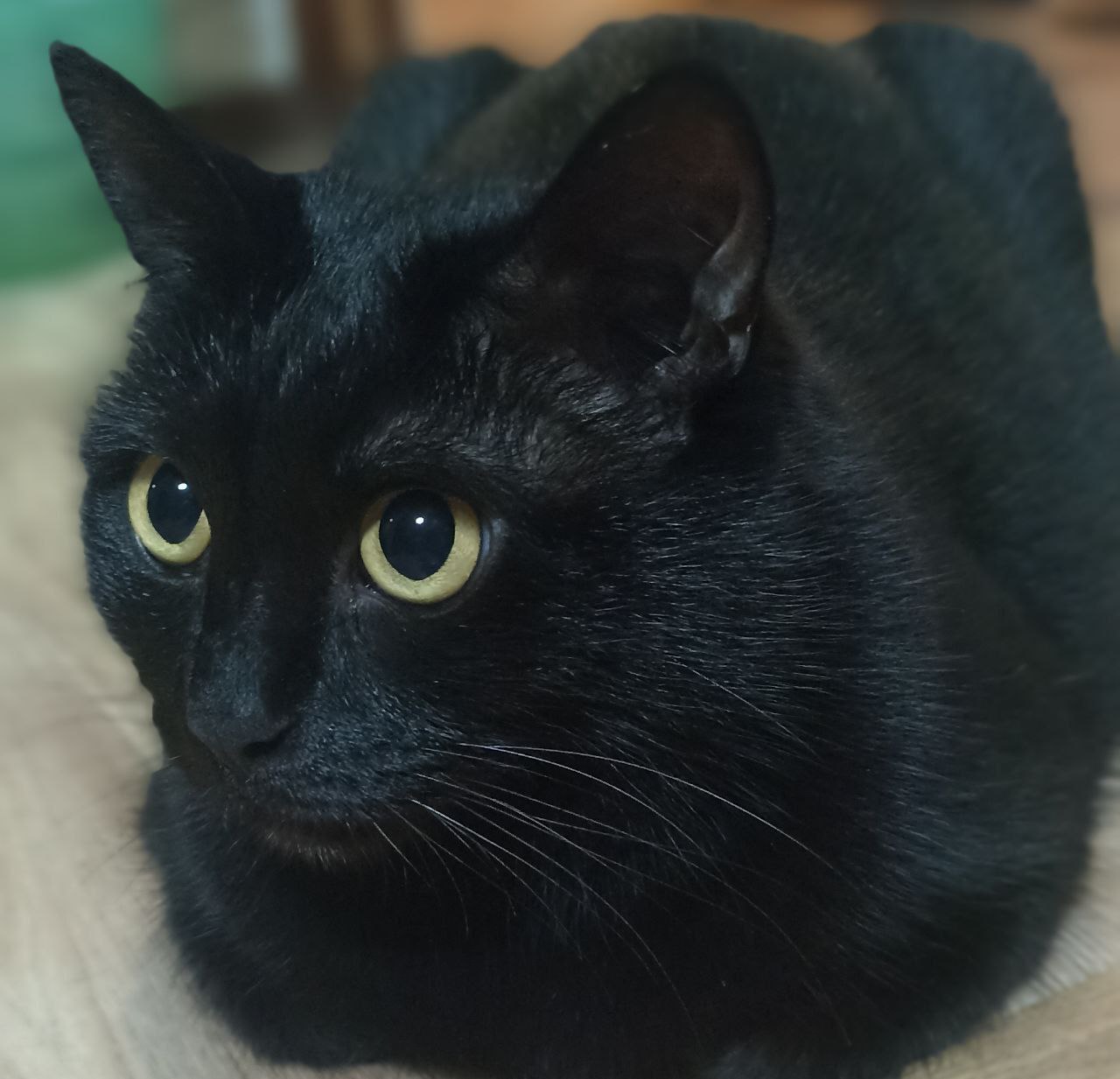 19 декабря на территории Луганской Народной Республики ожидается переменная облачность