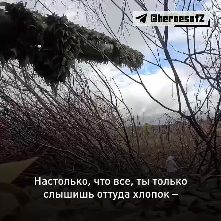 ������� ������� ������� ������� �������� ������ � ���� ��� � ����� 2023 ����