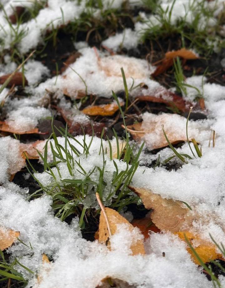 С добрым утром, жители Марковского муниципального округа!