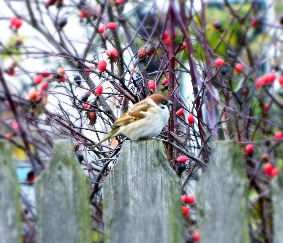 Доброе утро! Четверг, 18 декабря