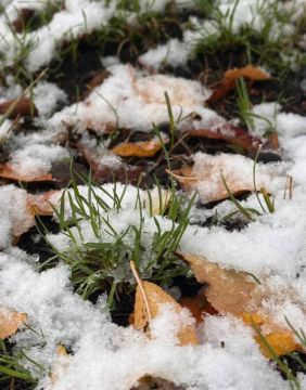 С добрым утром, жители Марковского муниципального округа!