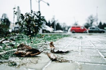 ��������� ������������ 20 ������� � ��� �� 5 �������� ������ ����� �� 4 �������� ����� ����, ��� ������������ �������, � ��������� ������� ����� � �����-������ �������� ���������� ��� ������ �� ���