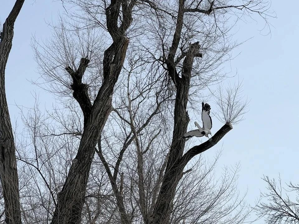 Переменная облачность и гололёд ожидаются в ЛНР 19 декабря