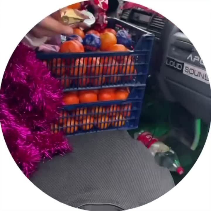 ���� ���� ������ ������� �������� ��� � ���������� �����������