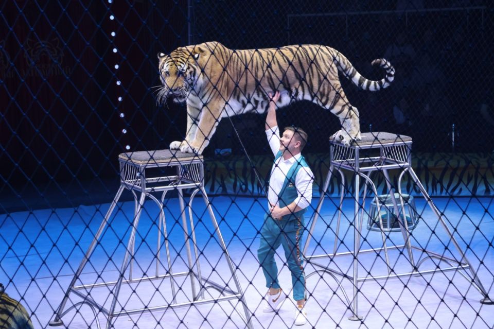 В Луганском государственном цирке стартовала новогодняя сказка