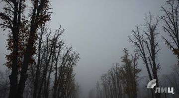 ��������� ������������ 21 ������� � ��� �� 4 �������� ����� � �����