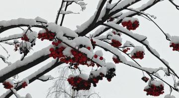 ������ ���� � ���: ������� ������� ��� ������ ��� ������ ���� � ��������� ���� ���������� ��� �����, � �������� � ����� ������� ���������� ������ ������. � ������� ����� ���� ������ ����������� ����� ������ �������� �...