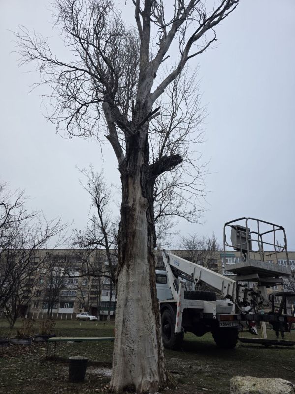 ������ ��������: ���������� �������� ��� ����������� ������� ���������� ������