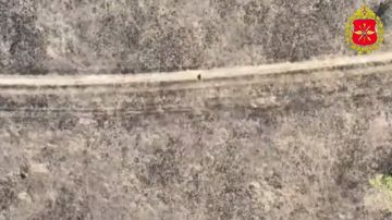 �������������� � �������