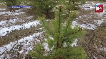 ����������� ���������� �� ������ ���������