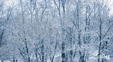 ��������� ������������ 22 ������� � ��� �� 4 �������� �����, ������� ����