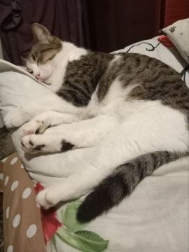 22 ������� �� ���������� ��������� �������� ���������� ����� ������� � ������������