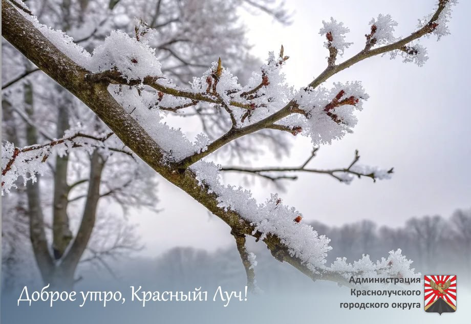 Доброе утро, краснолучане и гости города!