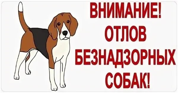 Внимание: работает «горячая линия» по вопросам связанных с животными без владельцев: