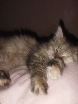 23 ������� �� ���������� ��������� �������� ���������� ����� ������� � ������������