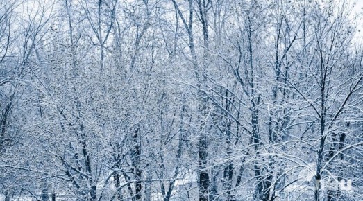 Синоптики прогнозируют 23 декабря в ЛНР до 2 градусов тепла, снег и гололедицу