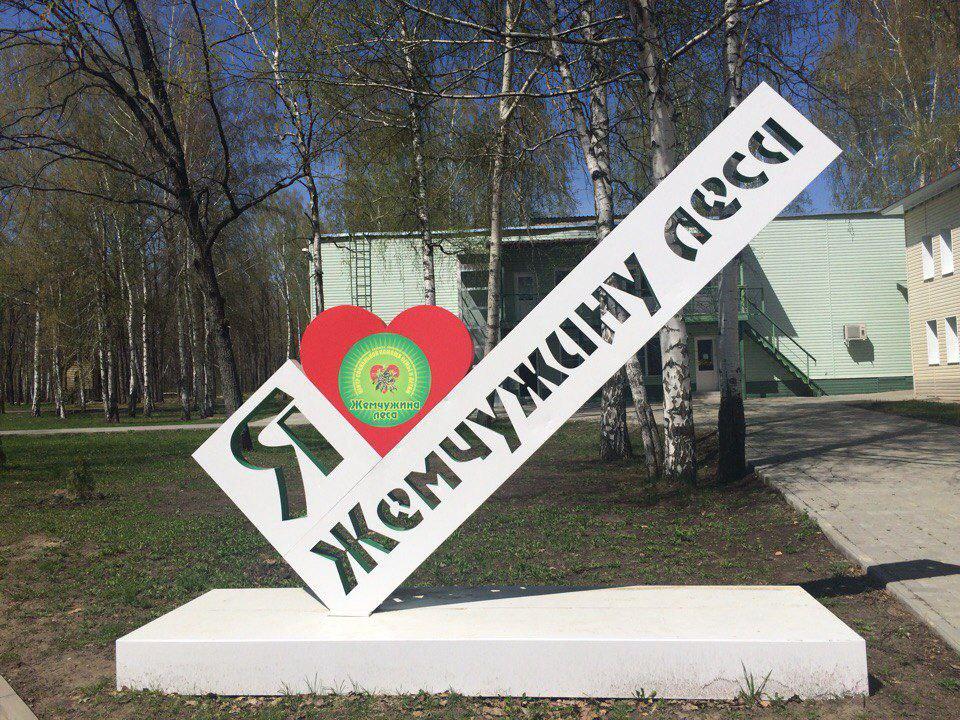 В тамбовском оздоровительном центре новоайдарские ребята получили новые навыки в сфере медицины