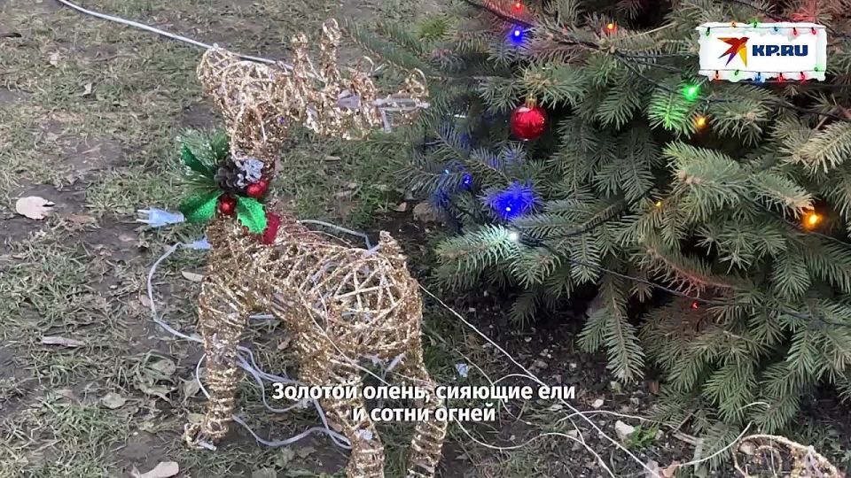 ��� � ���������� ��������, ������� ����� � ������: � �������� ������ ����������� �������� �������� ���� � ������ ����
