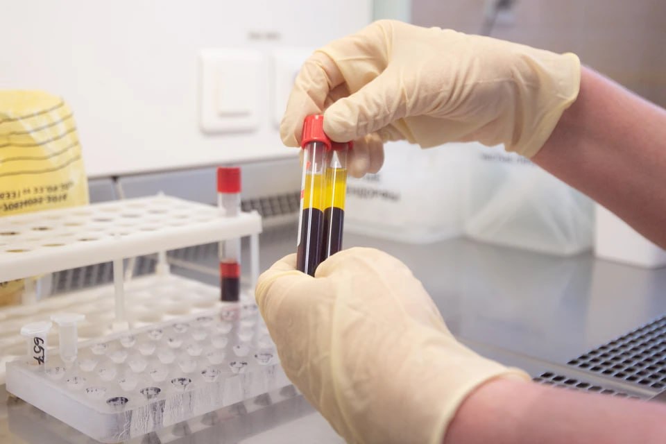 Единороссы ЛНР сдали более 400 литров крови для бойцов СВО