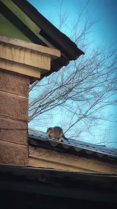 � ������� ������ ������ ��������� ���� � ���������� ������ ����