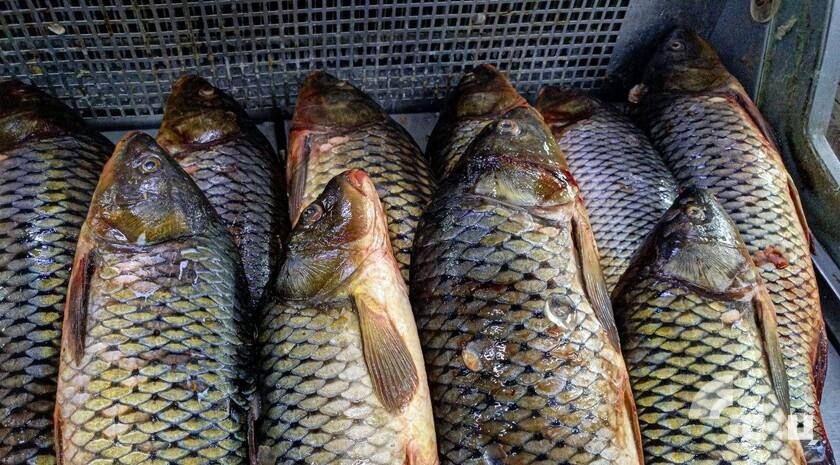 ������������ ��������� ��������� ��� ��������� ��������� ������������ ���� � 2030 ����