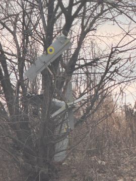 ���������� ����������� � ������ ������ ��������� �� ������ � ��������