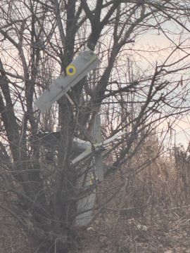 � �������� ��������� ��������� ���� � ������ ������