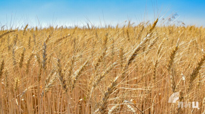 ��� � 2025 ���� �������� ����� ������� ����������� �� �������� � �������� � ����������