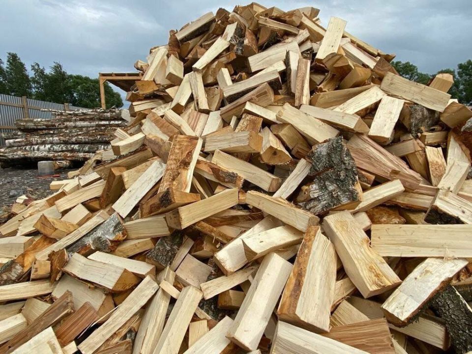 Андрей Губарев: Лесоохотничьи учреждения, находящиеся в ведении Министерства природных ресурсов ЛНР, предоставляют возможность приобрести дрова для населения