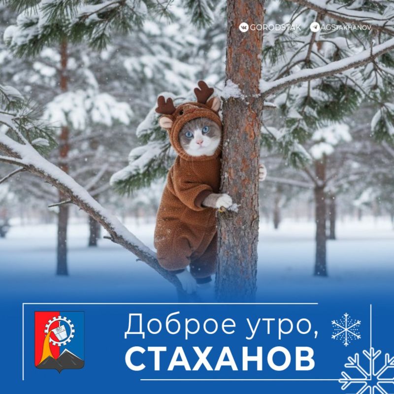 ������ ����, ��������!. ������ ��������� �������