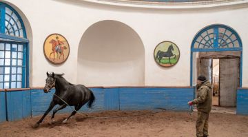 ������������� ����������� ������ �������� ������� ��������������� ��������� ������ ��������