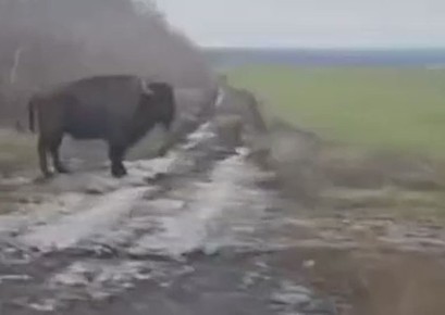 �������� ����������: ������ ����������.������ ������������ ����� � ������ ����-������