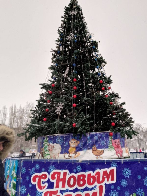 26 декабря в центре Суходольска состоялось долгожданное торжественное открытие городской елки на площади Блюхера, которое стало ярким стартом для предстоящих новогодних праздников