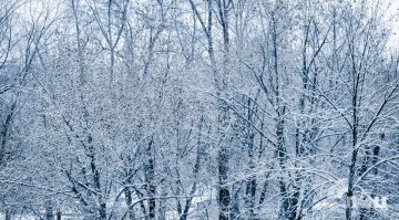 ��������� ������������ 28 ������� � ��� �� 6 �������� ������ ����� �� 2 �������� ����� ����, ������� ��������� ����, ��������� ������� �����, ����� � ����������