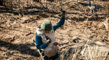 ������ ��� ���������� � ���� ���� ����� ���������� ������ �� �������������堗 ���������