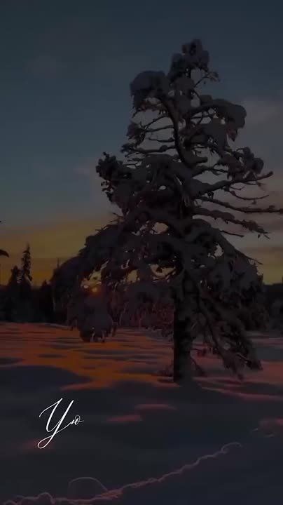 ������ � ������ ����, ������ �������������� ������!