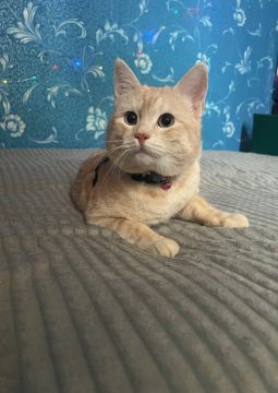 29 ������� �� ���������� ��������� �������� ���������� ����� ������� � ������������