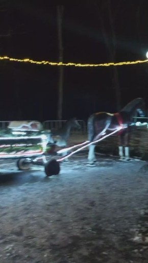 Новый год близко: вот так атмосферно и красиво сейчас в луганском парке имени Горького