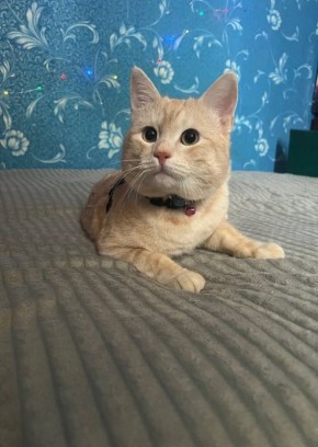 29 декабря на территории Луганской Народной Республики будет облачно с прояснениями